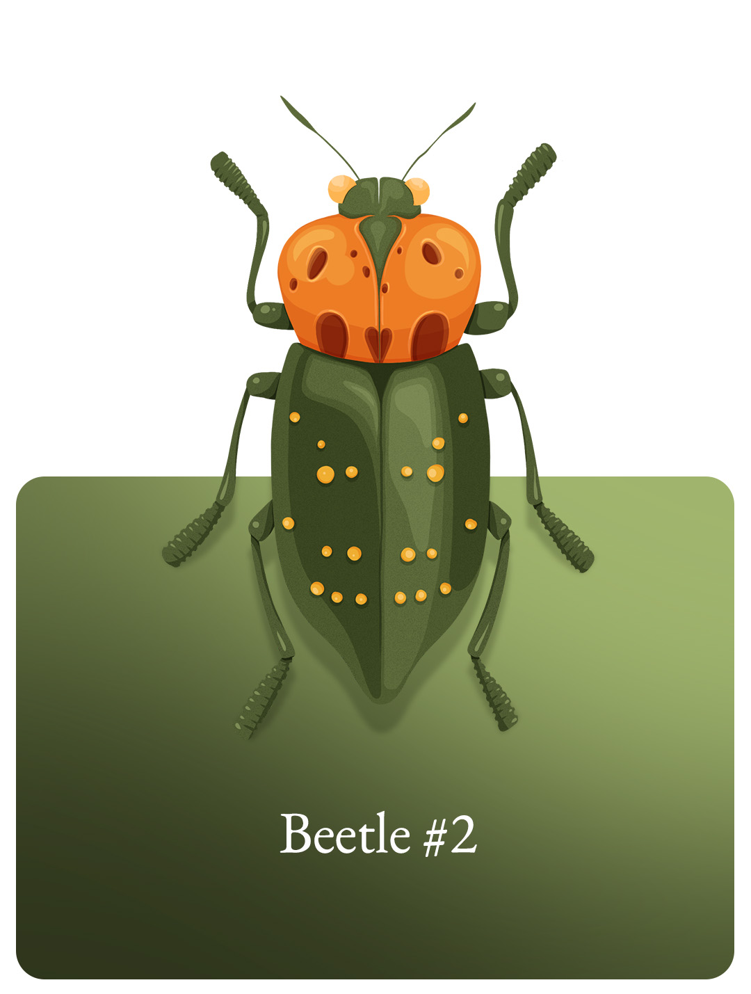 Beetle#2