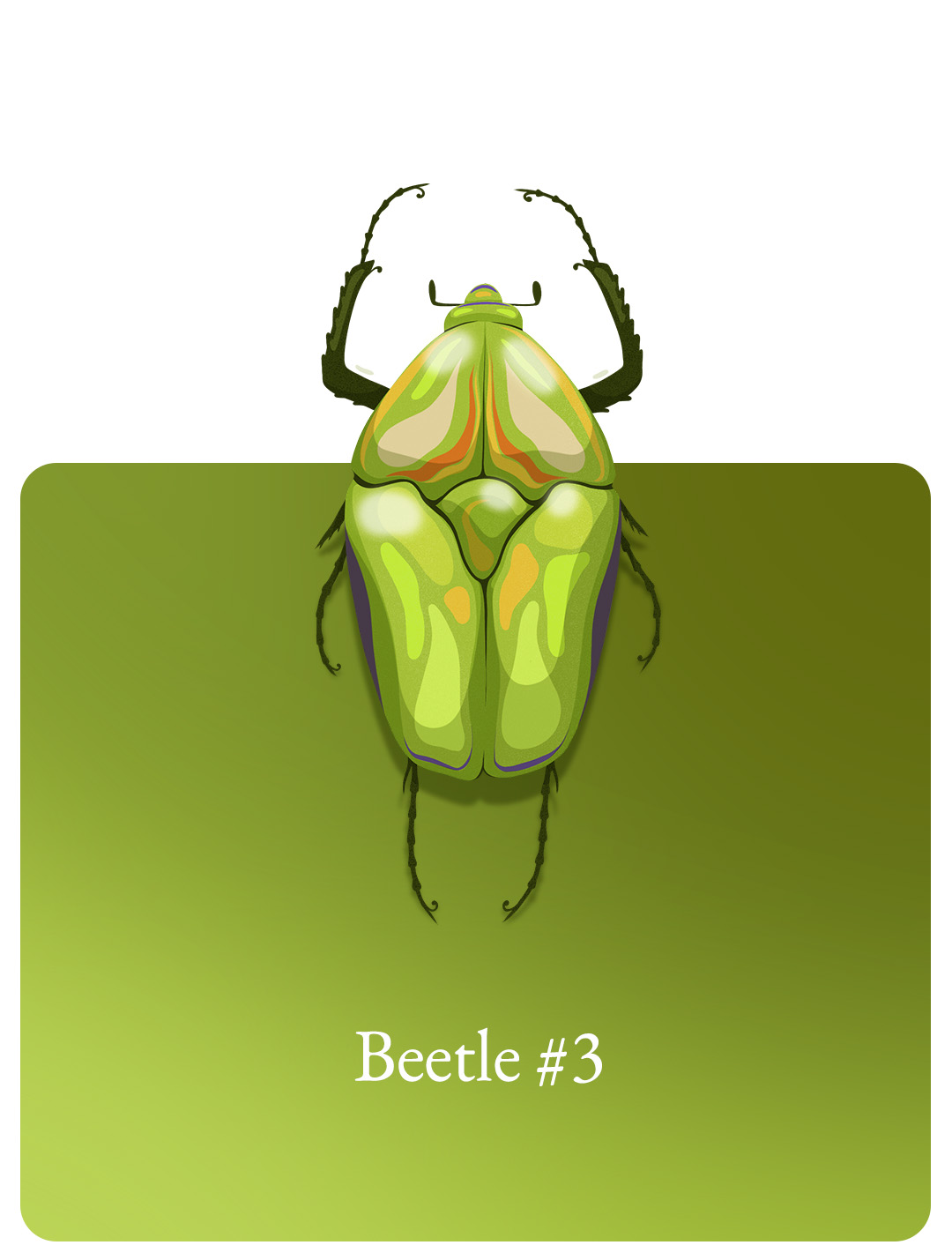 Beetle#3