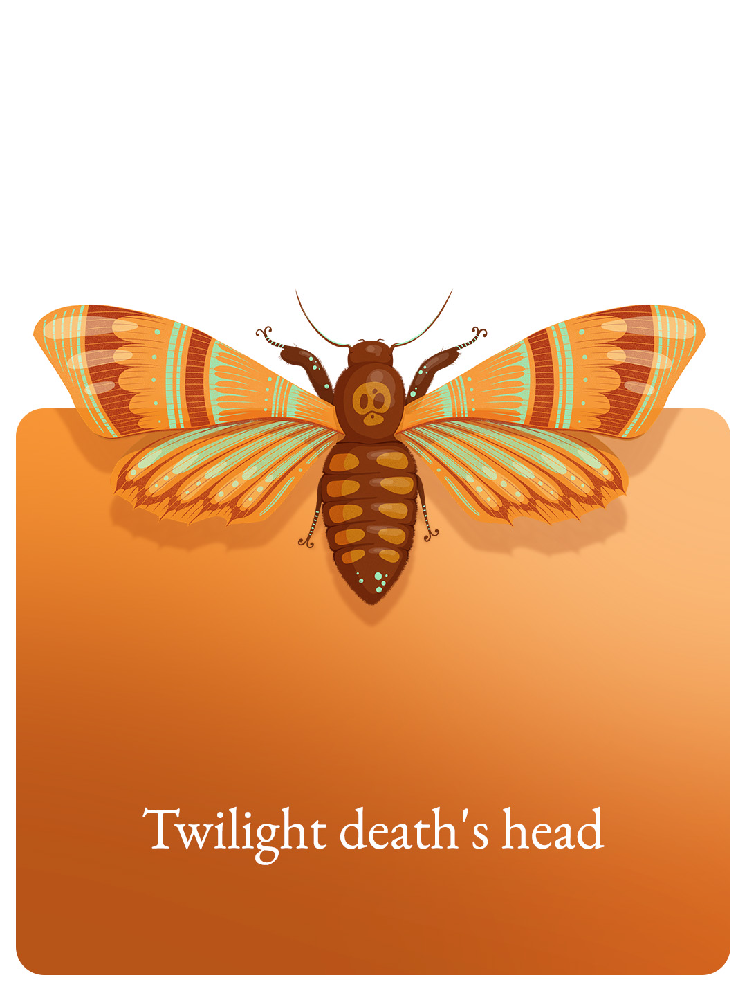 Twilight death's head