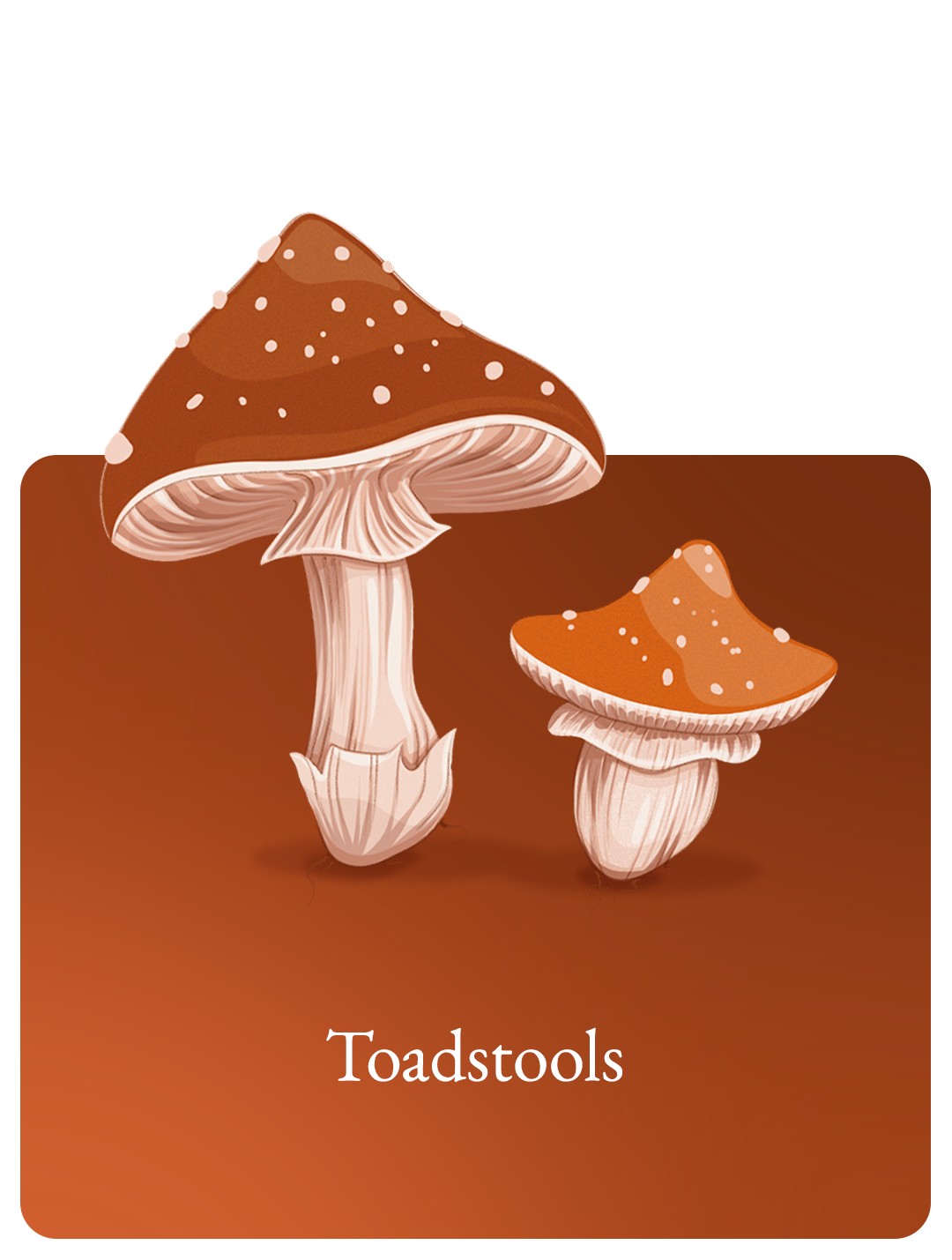 Toadstool