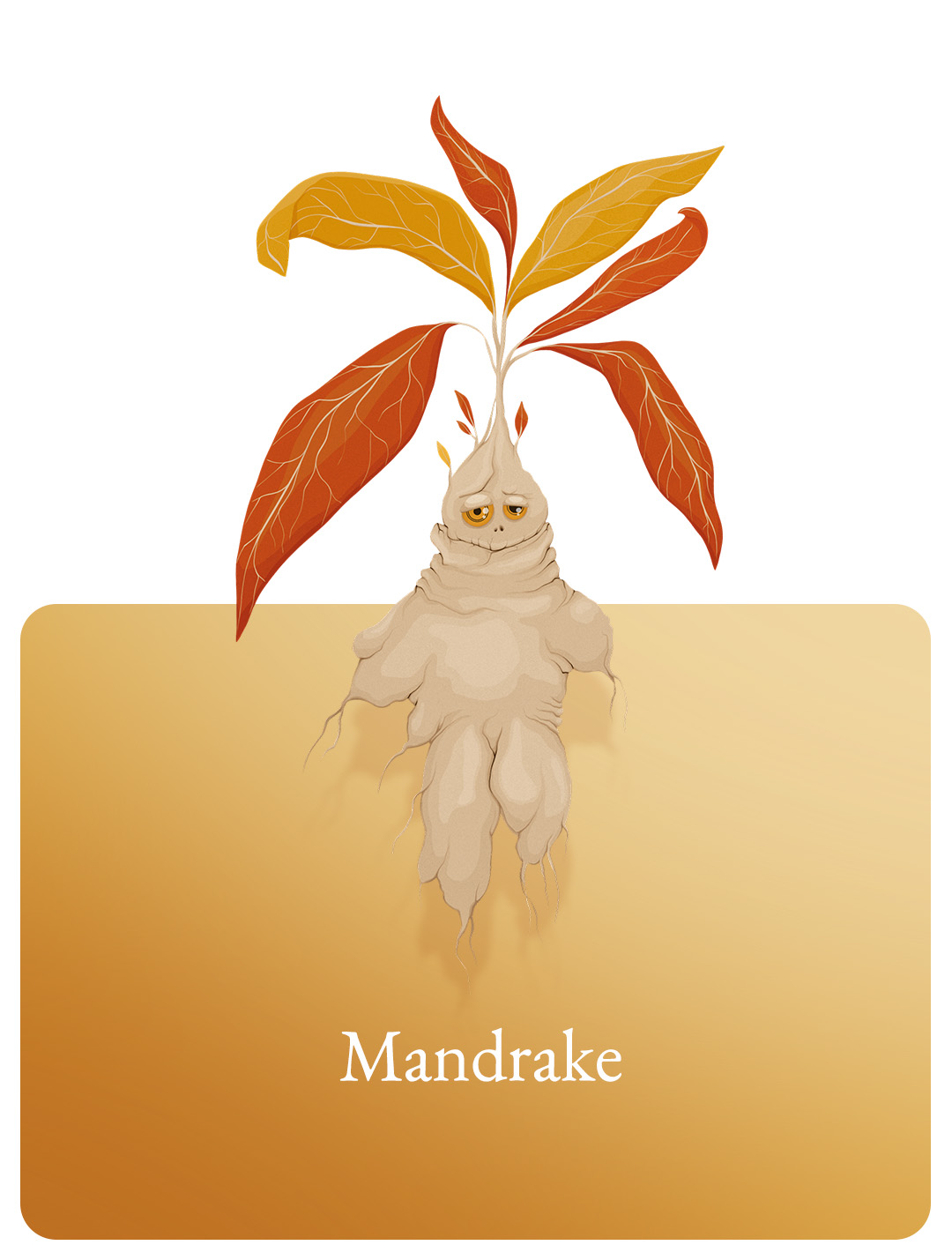 Mandrake